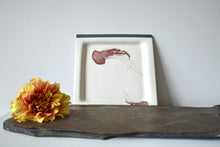 Load image into Gallery viewer, 32-M Jellyfish Square Plate