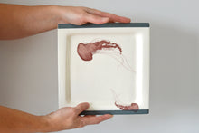 Charger l'image dans le visualiseur de la galerie, 32-M Jellyfish Square Plate
